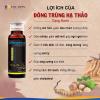 Nước uống đông trùng hạ thảo Fine Japan Cordyceps Plus (Hộp 10 chai x 50ml)